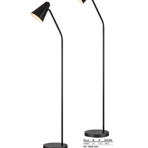 Bright Light indoor 2023